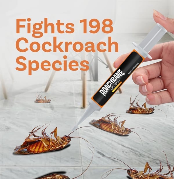 🔥Limited Time Offer 49% OFF🔥 RoachBane Gel Bait